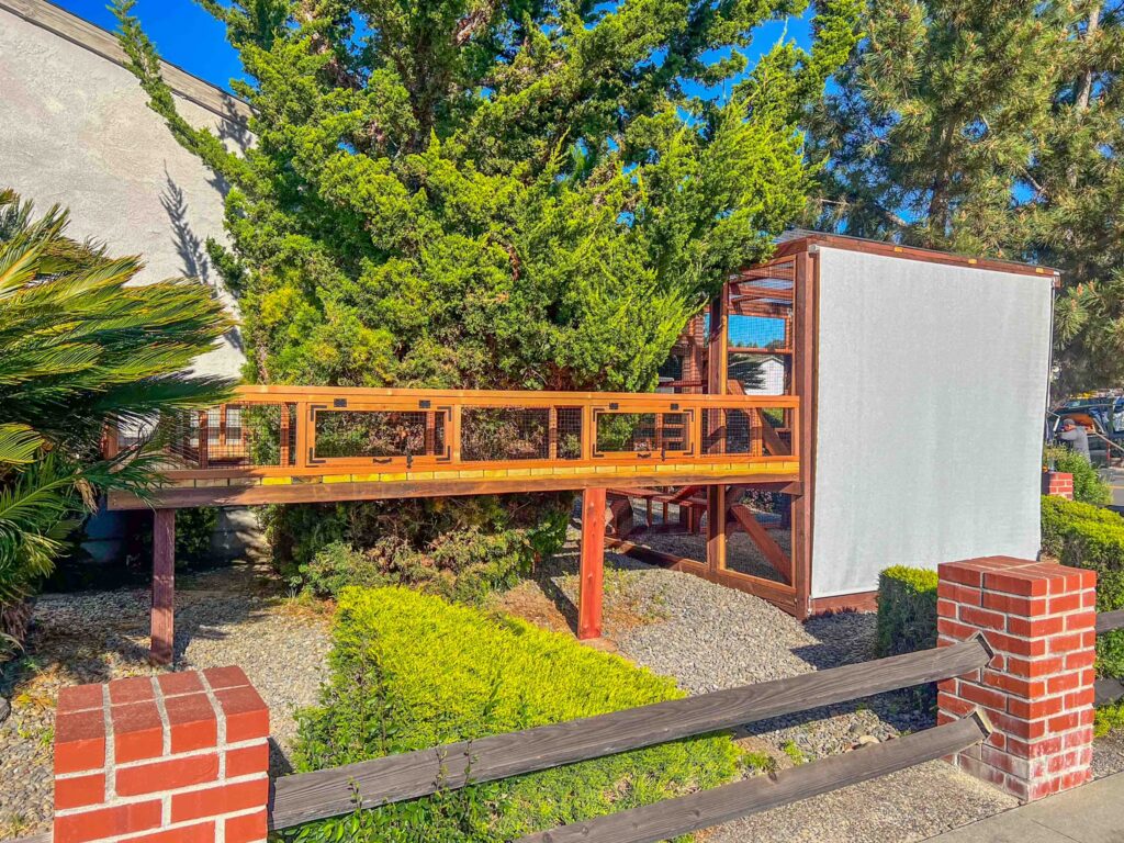 Elevated custom wooden catio with a long enclosed walkway leading to a fully screened structure, built in a landscaped front yard with trees, shrubs, gravel ground cover, and brick fence posts in Oregon City, Oregon.