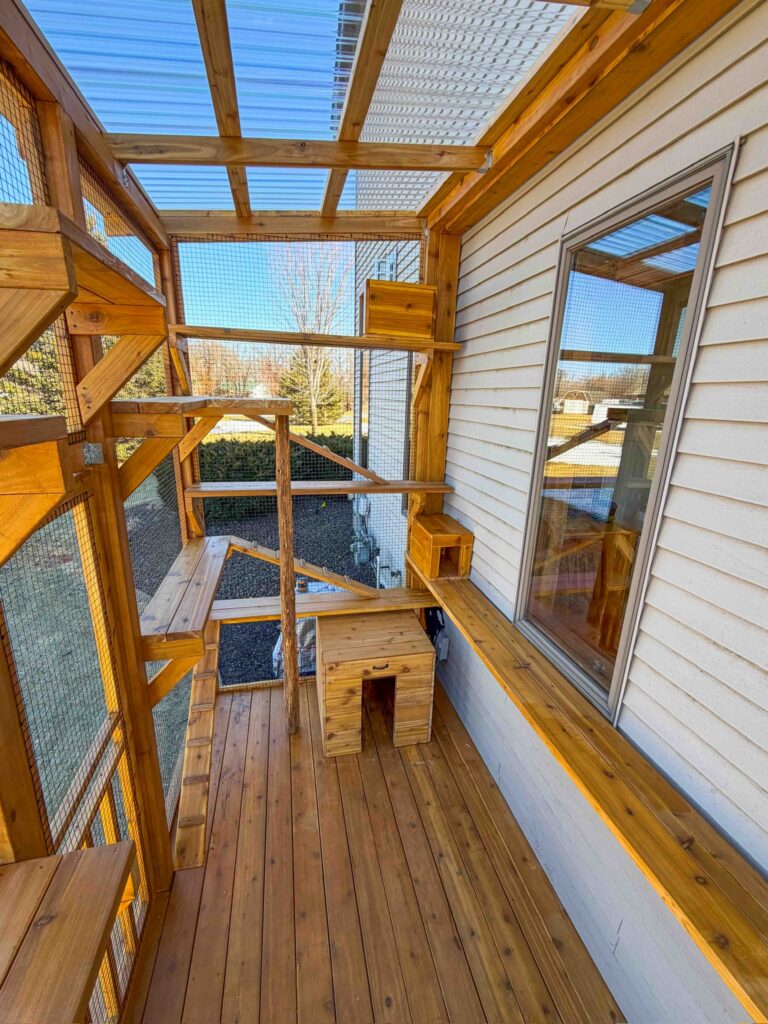 Interior view of a custom wooden catio in Great Falls, VA showing multiple climbing shelves, a vertical scratching post, built-in cat house, window access ledge, and wire mesh enclosure with a clear roof overhead.