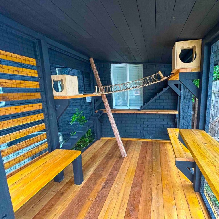 Modern black and natural wood catio interior with staggered wall-mounted shelves, two wooden cat houses with cat-head cutouts, rope bridge, angled ramps, vertical scratching post, and wide bench seating along the perimeter.
