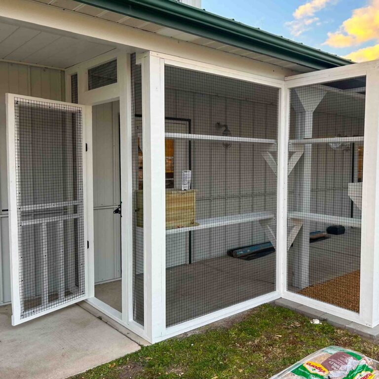 Corner exterior angle of a spacious screened catio with white framing, multi-level interior shelves, pebble flooring, and secure mesh enclosure.