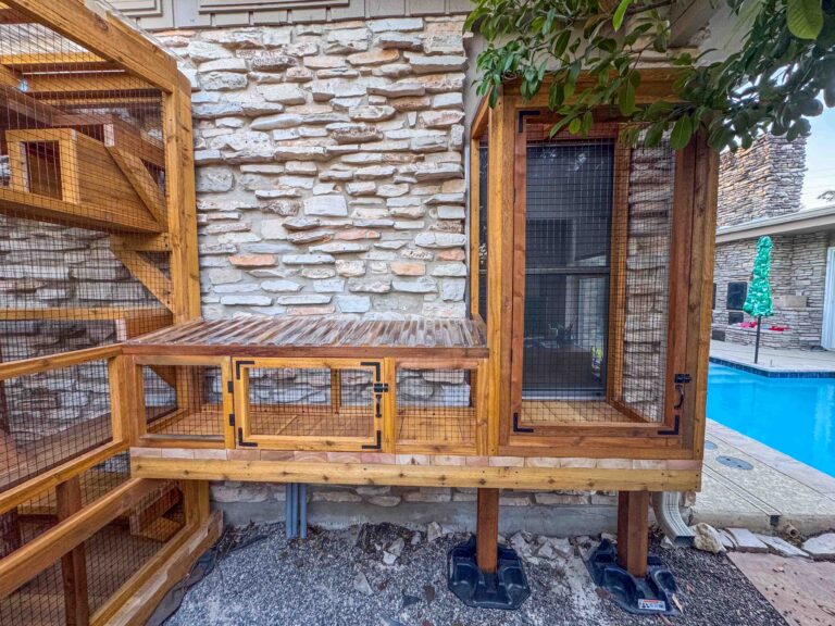 Front view of an elevated custom catio with mesh doors, wooden framing, a covered tunnel section, and a pool visible in the backyard setting
