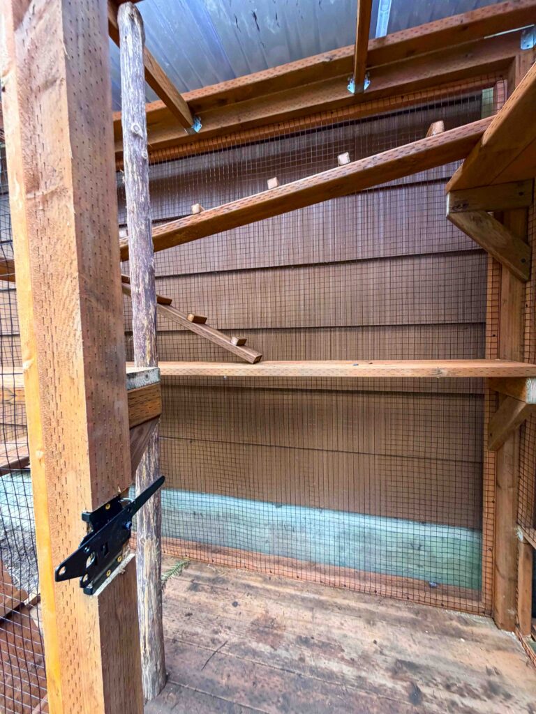 Interior view of a custom wooden catio in Aberdeen, WA featuring multiple staggered climbing shelves, angled ramps with grip cleats, a natural wood scratching post support beam, heavy-duty black latch door hardware, secure wire mesh walls, and a weather-protected translucent roof for year-round outdoor use.