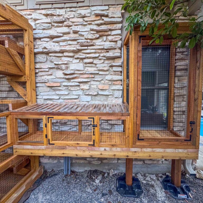 Front view of an elevated custom catio with mesh doors, wooden framing, a covered tunnel section, and a pool visible in the backyard setting