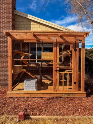 Front view of a large custom cedar catio attached to a brick home featuring a secure mesh enclosure, hinged access door, multi-level cat shelves, ramps, and a clear corrugated roof.