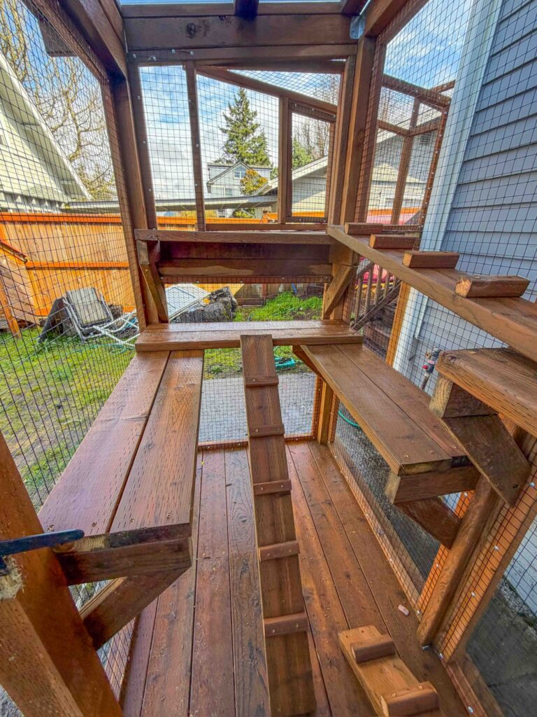 Interior of a multi-level wooden catio featuring platforms, ramps, stairs, and perches enclosed with wire mesh, offering vertical climbing space and outdoor views in a residential backyard.