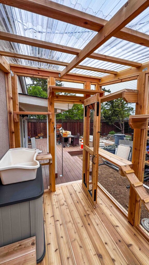 Interior view of a custom-built wooden catio in Lafayette, California featuring a clear corrugated polycarbonate roof, natural wood framing, wire mesh walls, multiple elevated cat shelves, a ramp with steps, and a secure mesh door leading out to a backyard deck.
