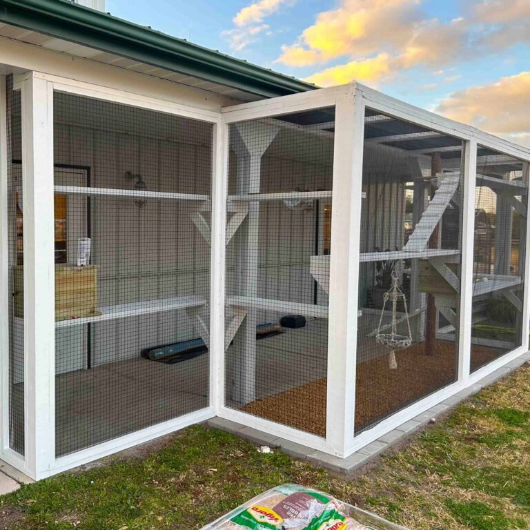 Exterior view of a white custom-built catio attached to a home with green metal roof, featuring large mesh panels, interior shelving, and a secure entry door.