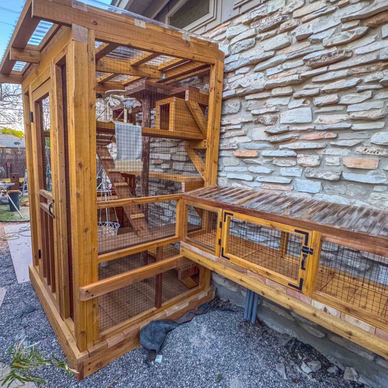 Angled exterior view of a custom catio with a covered tunnel connection, multiple mesh panels, and interior climbing structures visible through the enclosure