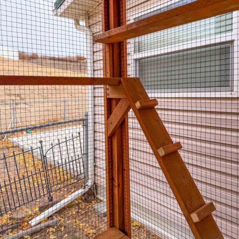 Close-up interior view of a wooden catio climbing ramp with traction cleats leading to a mid-level shelf, surrounded by secure wire mesh panels and house siding backdrop.