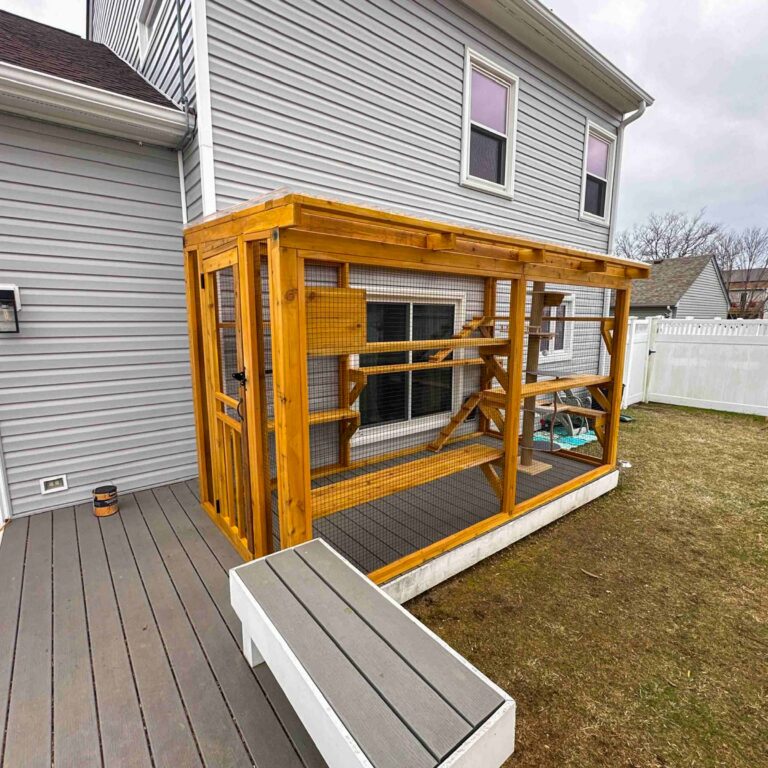 Custom wooden catio attached to a home with wide horizontal shelves, built-in climbing steps, secure mesh panels, flat roof, and elevated foundation base beside a backyard deck.