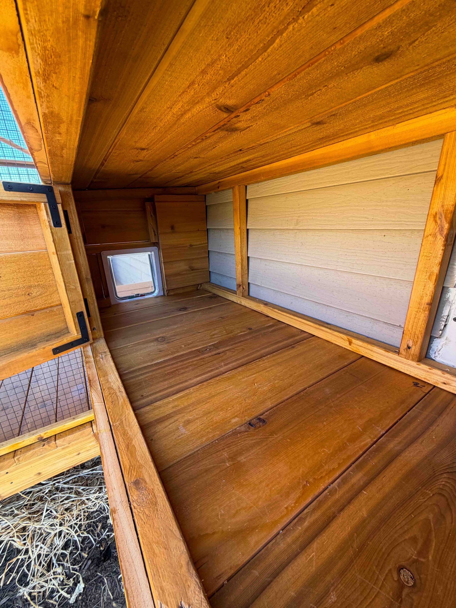 Covered wooden catio tunnel interior connecting the house to the outdoor enclosure with a clear cat door at the far end.