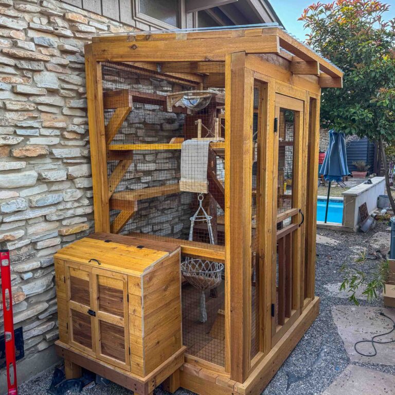 Compact custom catio enclosure with a wooden storage box attached, featuring multiple interior platforms, climbing ramps, and a visible hanging hammock inside