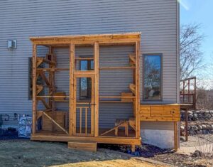 Full exterior view of a large custom catio with multiple climbing levels, a secure entry door, and a wooden window tunnel connecting the enclosure to the house.