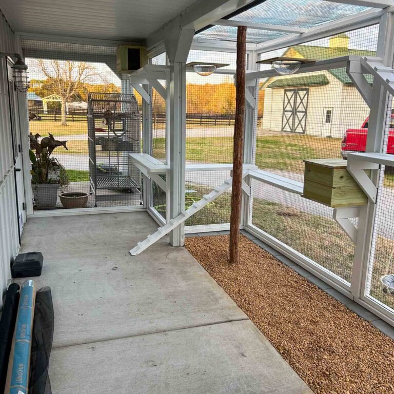 Expansive custom catio interior with vertical scratching post, angled climbing ramp, elevated shelves, and pebble ground section enclosed in white framing and mesh.