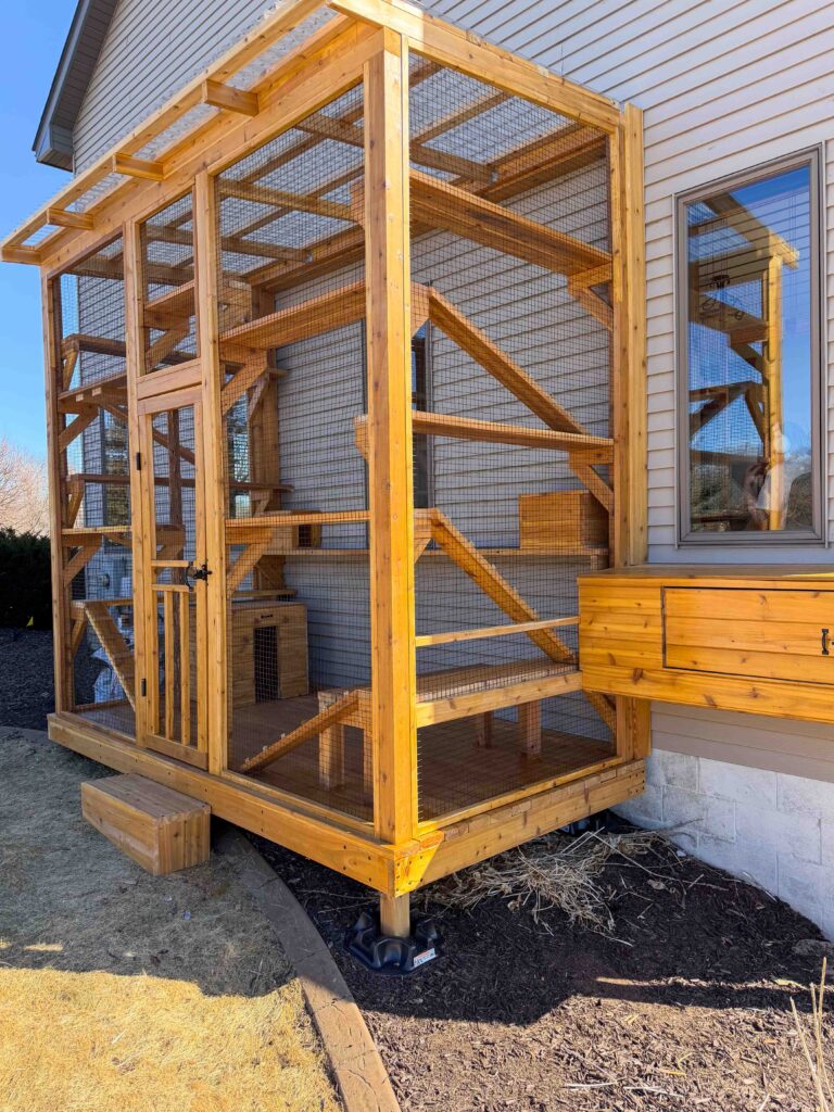 Exterior angled view of a custom cedar catio in Zimmerman, Minnesota with a secure mesh enclosure, slanted roof design, elevated foundation supports, full-height access door, interior climbing ramps and shelves, and a wooden window pass-through box connecting to the house.