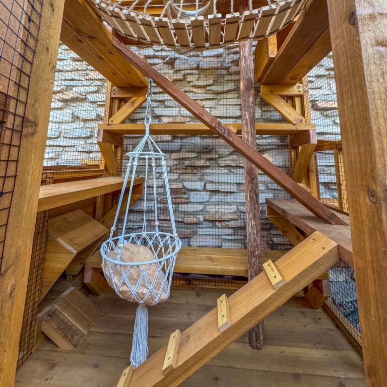 Upward angle view inside a custom catio highlighting the rope bridge, transparent dome cat bed, wooden climbing ramps, and hanging macrame chair beneath a covered roof