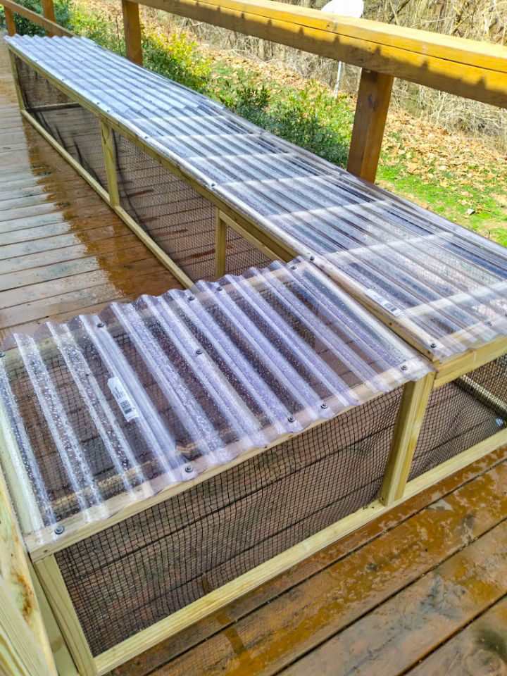 Long, low-profile wooden catio tunnel with black wire mesh sides and a clear corrugated plastic roof, installed along a deck railing in Fraziers Bottom, West Virginia, providing a protected outdoor walkway for cats.