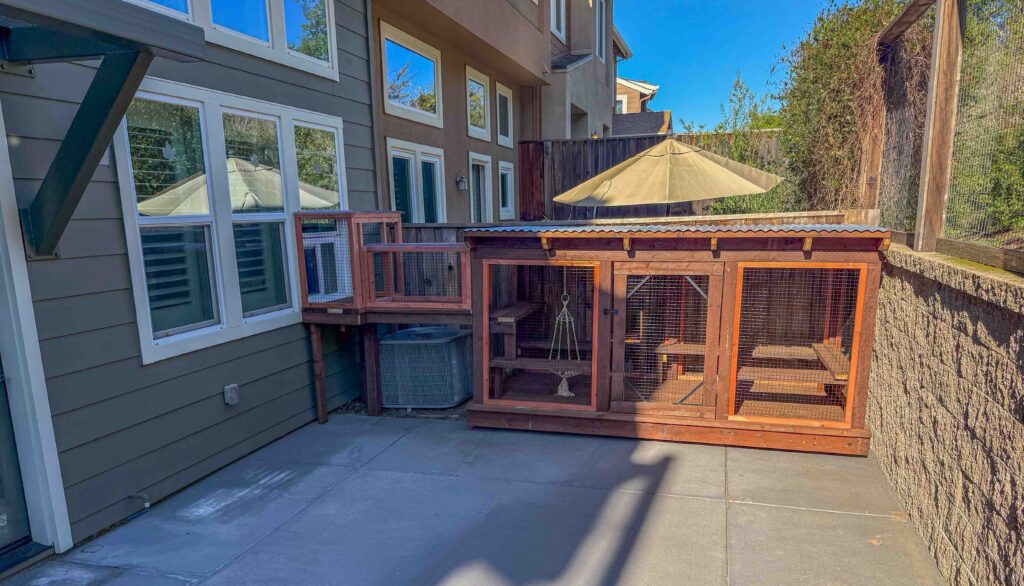 Exterior view of a custom wooden catio attached to a home in Petaluma, CA featuring a window-access tunnel, a spacious enclosed run with multiple interior shelves, and a slanted roof, positioned on a concrete patio beside a retaining wall and shaded by a large outdoor umbrella.