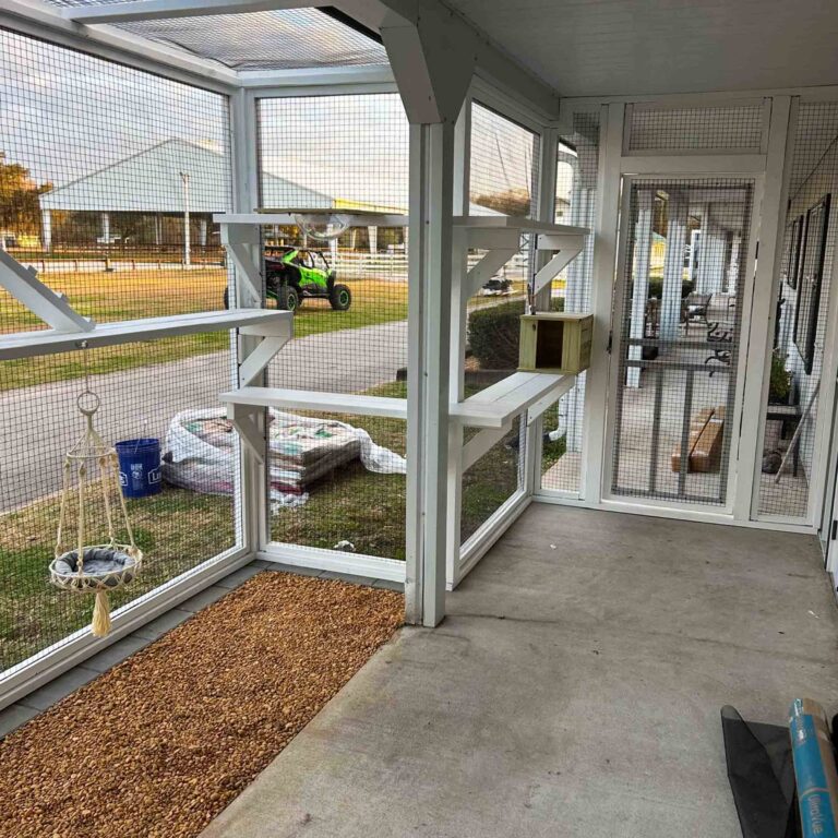 Wide interior view of a large screened-in catio attached to a home, featuring multiple wooden shelves, a hanging cat swing bed, pebble flooring section, and secure mesh walls.
