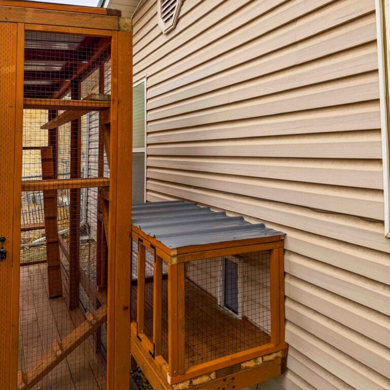 Elevated window catio connection box with a metal roof, cedar framing, and secure mesh panels mounted to the exterior of a home, allowing safe indoor-to-outdoor cat access.