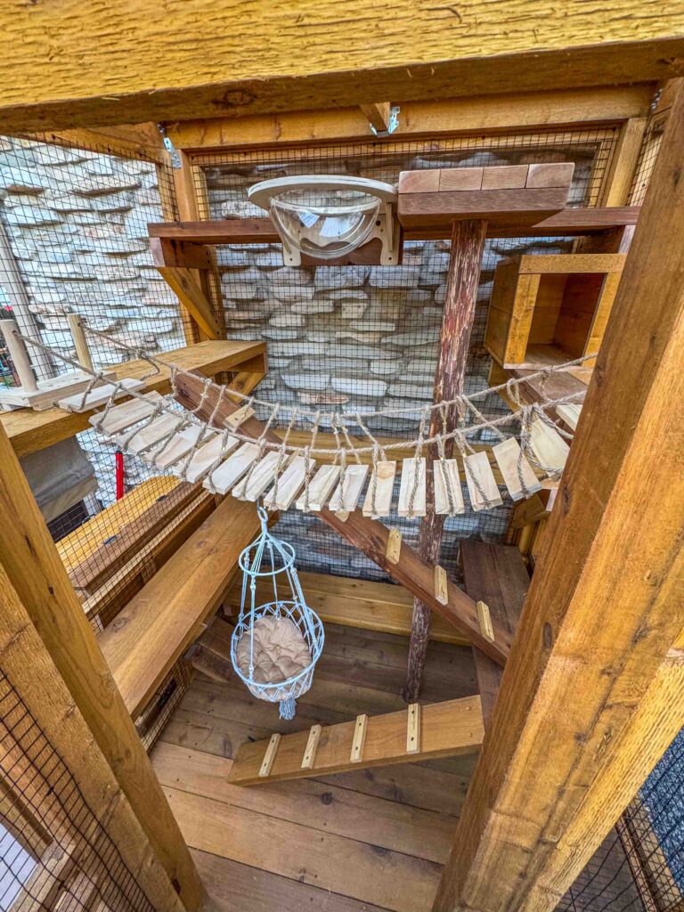 Interior of custom catio in Windcrest TX featuring wooden climbing ramps, rope bridge walkway, suspended hammock chair, elevated shelves, and a clear acrylic dome window for cats to lounge and observe outside