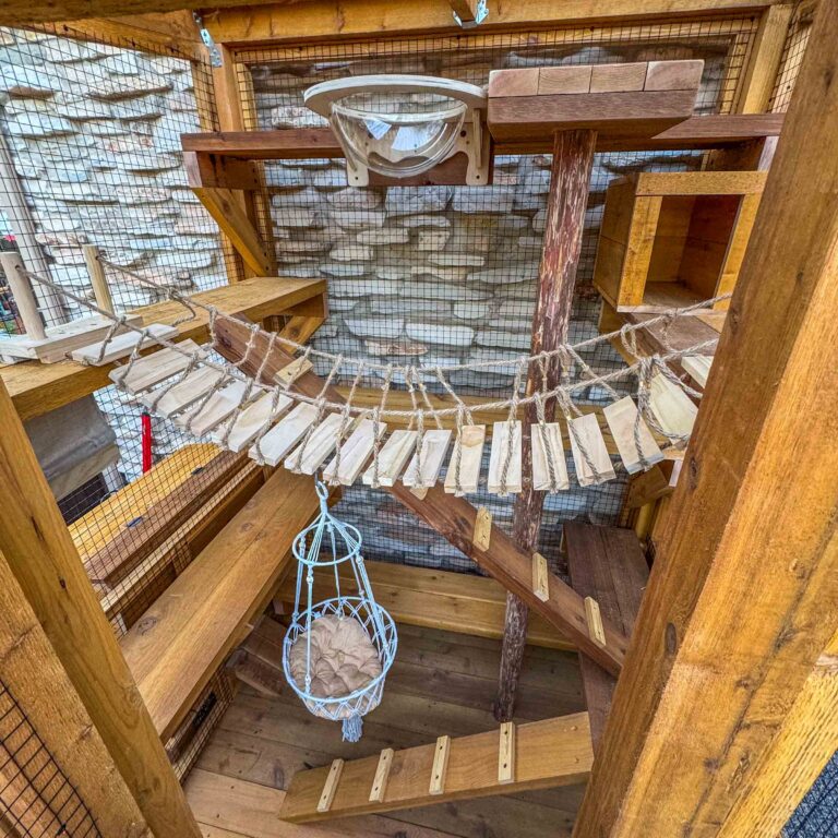 Interior view of a custom wooden catio featuring multi-level platforms, a rope suspension bridge, clear acrylic bubble dome bed, angled climbing ramps, and a hanging macrame cat hammock for enrichment and lounging