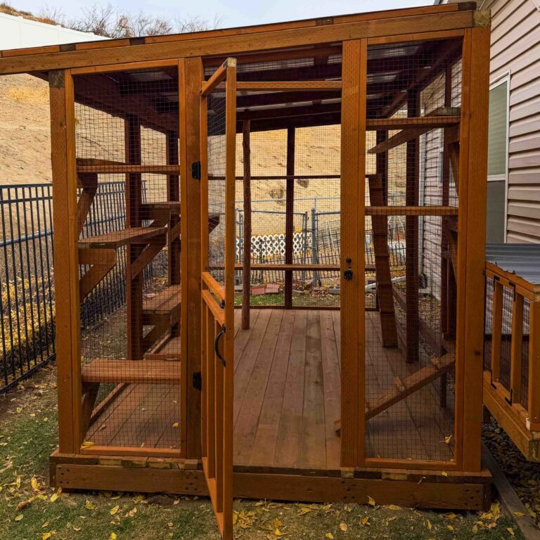 Detailed exterior view of a cedar catio with the front door open, showcasing reinforced framing, wire mesh panels, and a weather-protected roof attached securely to the side of a house.