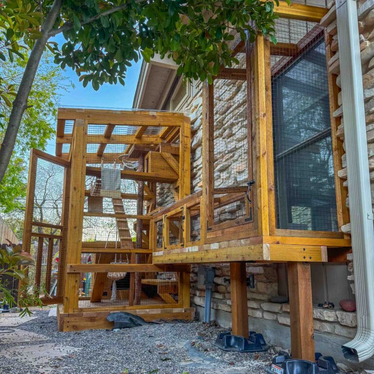 Wide exterior view of a custom-built wooden catio system with a main enclosure, connecting tunnel, and elevated window access beneath a shaded tree