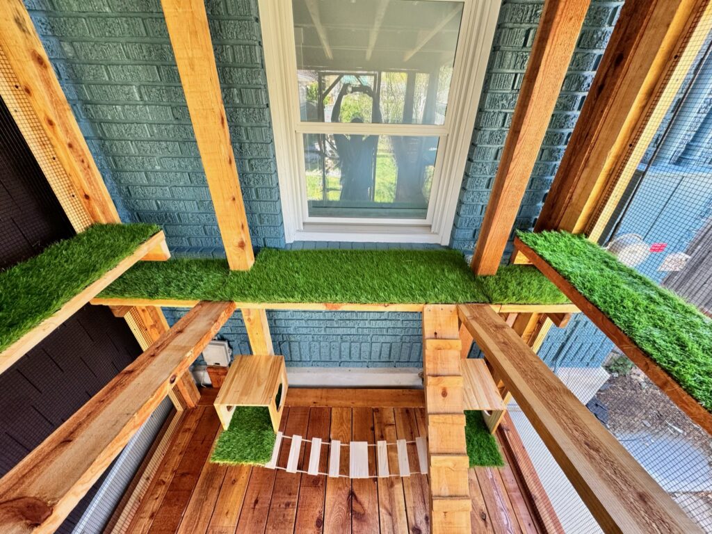 Interior view of a custom-built wooden catio in Woodland, MN featuring multiple elevated platforms covered in green turf, a central window access point, vertical climbing posts, and a small suspended bridge connecting two lower perches above a natural wood deck floor.