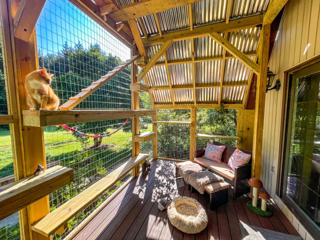 Orange tabby cat sitting on a wide wooden perch inside a custom-built catio in Stockton, NJ, featuring natural wood framing, wire mesh walls, a slanted climbing ramp, multiple staggered shelves, a corrugated metal roof, and cozy lounge furniture overlooking a sunny green backyard.
