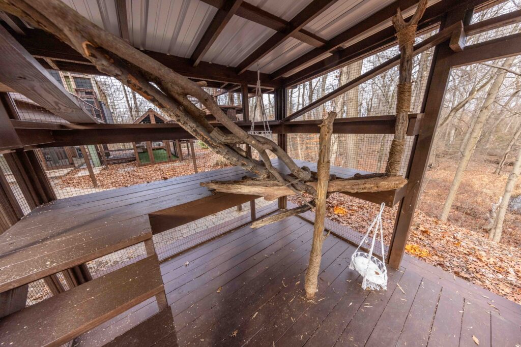 Interior view of a large custom multi-level catio in Alpine, New Jersey featuring natural tree branch climbing structures, a central tree trunk scratching post wrapped in rope, wide wooden platforms, and a hanging hammock chair, all enclosed with sturdy wire mesh and covered by a metal roof overlooking a wooded backyard.