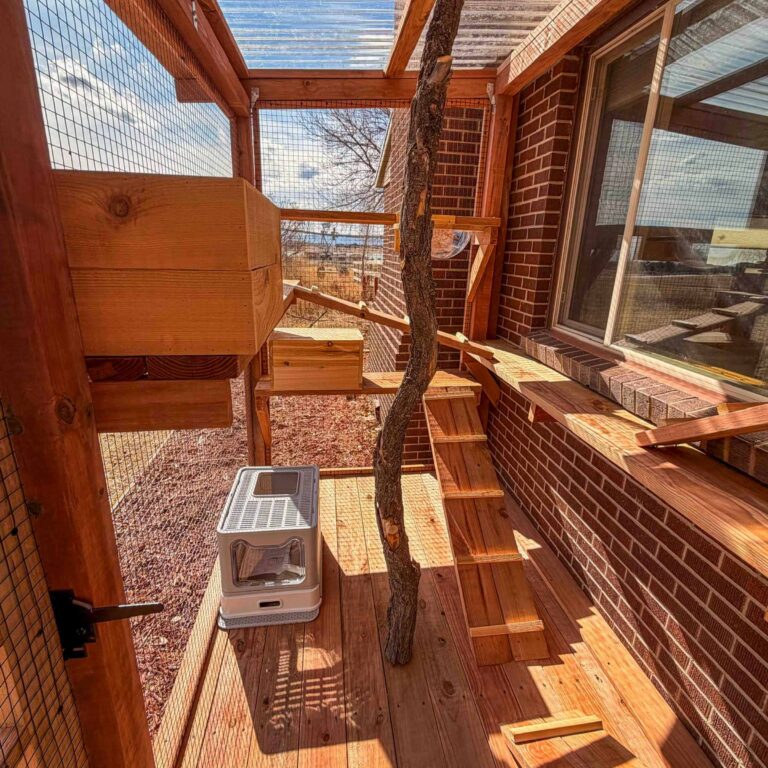 Interior view of a custom catio featuring wooden platforms, ramps, and a built-in tree trunk for climbing, with a clear roof panel allowing sunlight in and a window connection to the house.