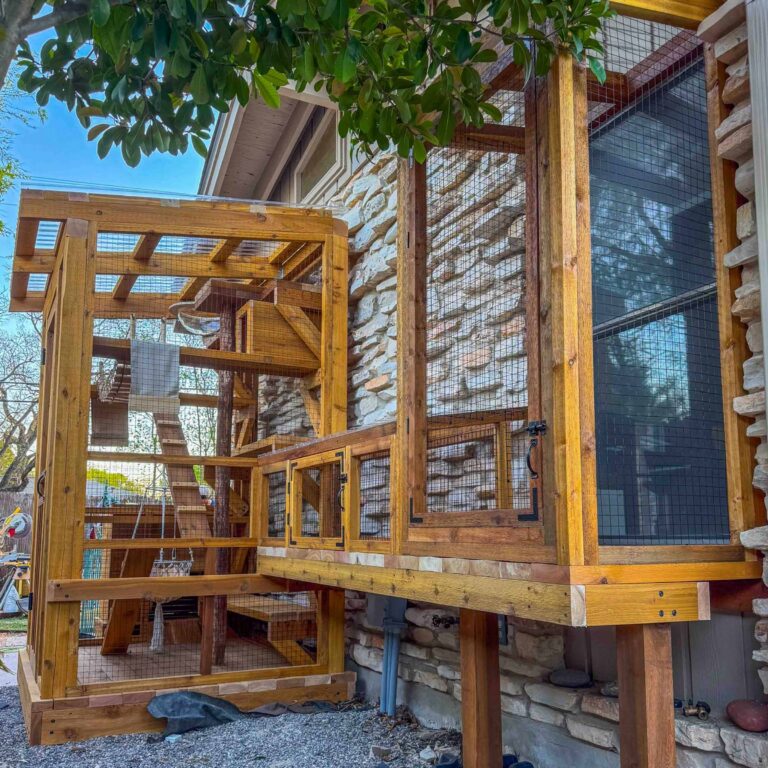 Custom elevated catio attached to a home with stone exterior, featuring a window access point, enclosed wooden walkway, wire mesh panels, and interior climbing shelves, ramps, and a hanging hammock for cats.
