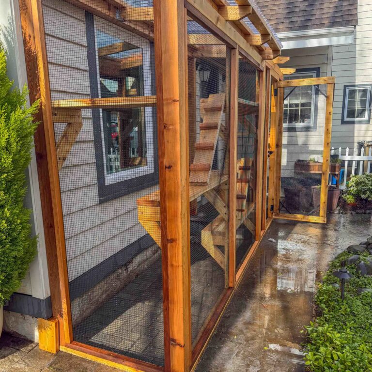 Long narrow catio enclosure running alongside a house, built with wood and mesh panels, featuring a door entry and interior climbing platforms on a wet concrete walkway.
