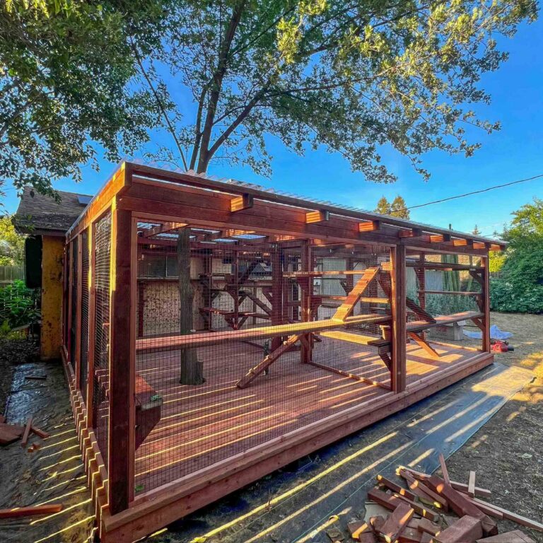 Large custom backyard catio built with rich-toned wood framing, featuring a spacious enclosed design with multiple ramps, shelves, and climbing structures under a partial roof and surrounding trees.