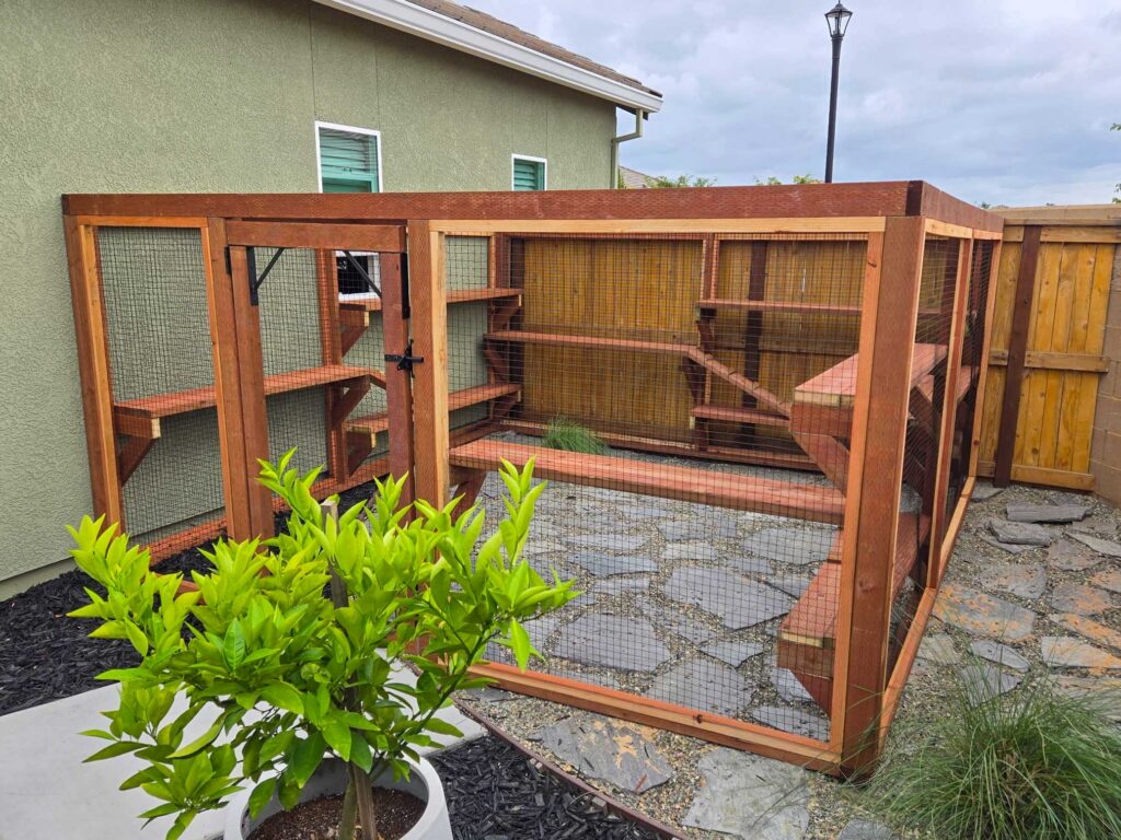 Custom-built wooden catio in a backyard in Galt, CA featuring a secure wire mesh enclosure with a single access door, multiple staggered wooden platforms and ramps for climbing, and a natural stone paver floor surrounded by gravel and landscaping, positioned alongside a light green house with a small potted citrus plant in the foreground.
