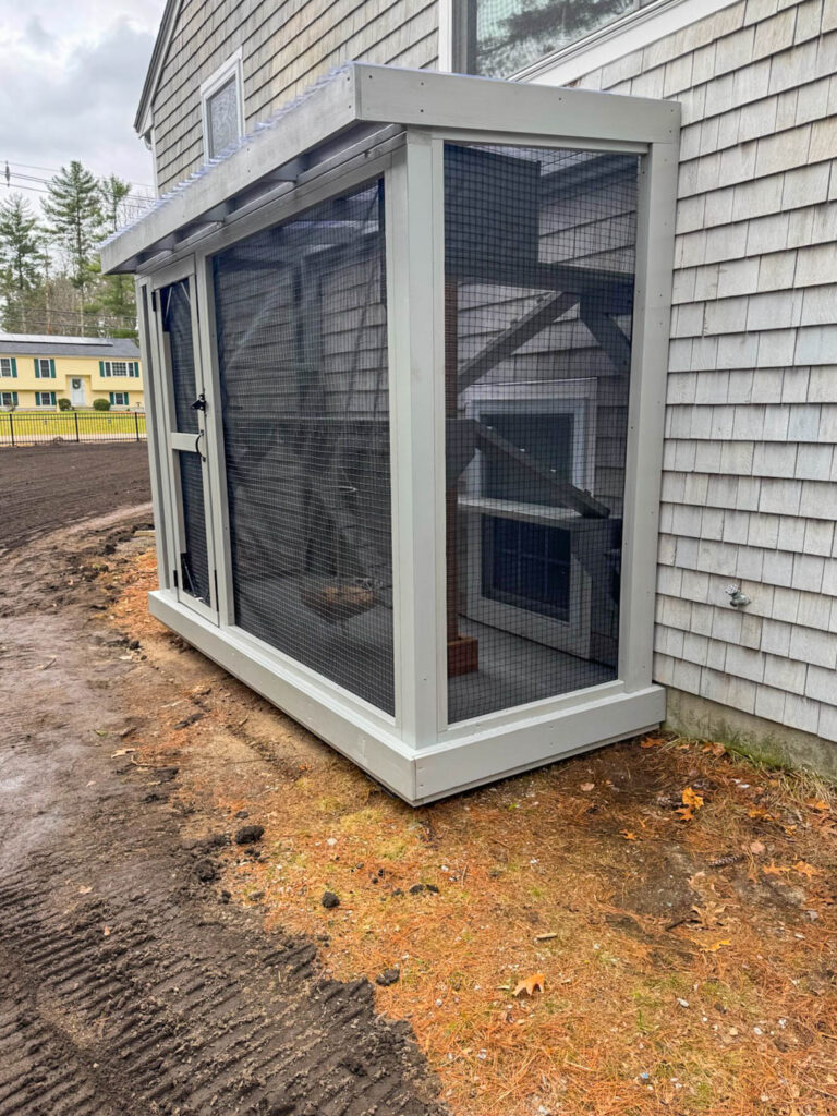 Custom-built outdoor catio attached to a gray shingle-sided home in Carver, Massachusetts, featuring a light gray wooden frame, black wire mesh panels, a slanted clear roof for weather protection, and a secure entry door, positioned along a freshly graded backyard with natural pine straw and soil visible.