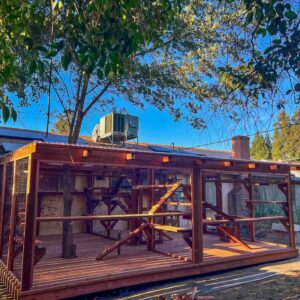 Expansive backyard catio built around a tree with integrated climbing structures, wooden platforms, and mesh walls under a shaded canopy of leaves