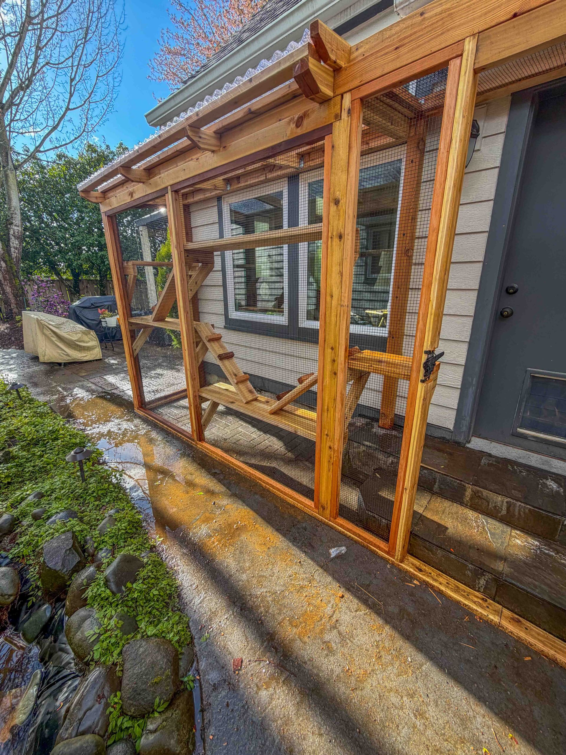 Interior view of a custom catio walkway with wooden beams, mesh walls, mounted outdoor lighting, and a climbing ramp leading to elevated shelves.