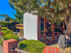 Large custom outdoor catio enclosure with multi-level wooden platforms and climbing structures, partially shaded by a tree and enclosed with mesh panels and a solid privacy wall.