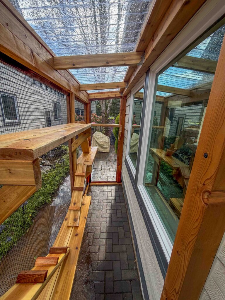 Interior view of a covered catio with clear roofing panels, wooden cat shelves, and a brick walkway floor attached to a home in Albany, Oregon, allowing natural light while protecting from rain.