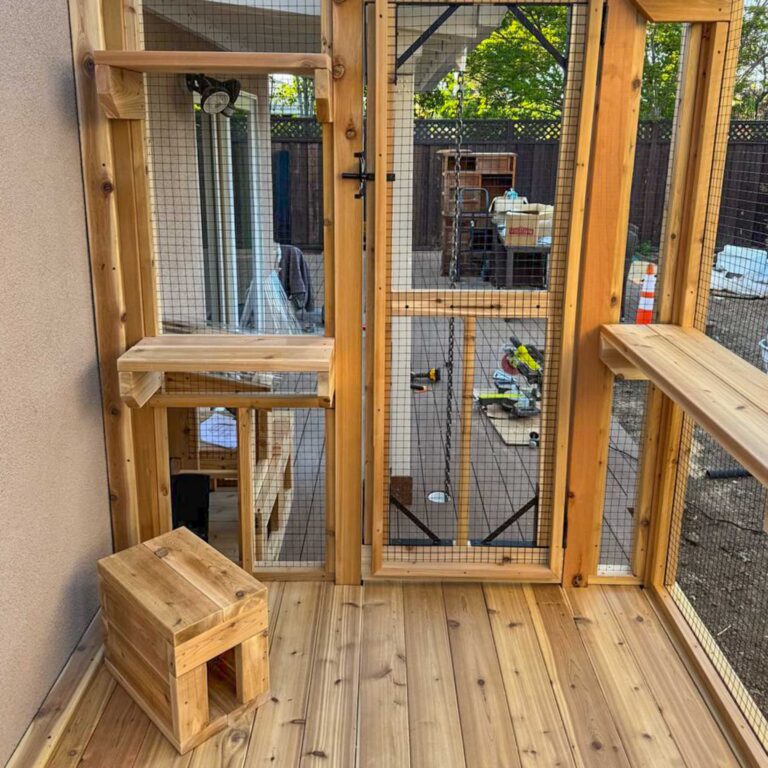 Interior view of a custom catio with wooden flooring, mesh door, wall-mounted shelves, and a small wooden cat house positioned in the corner.