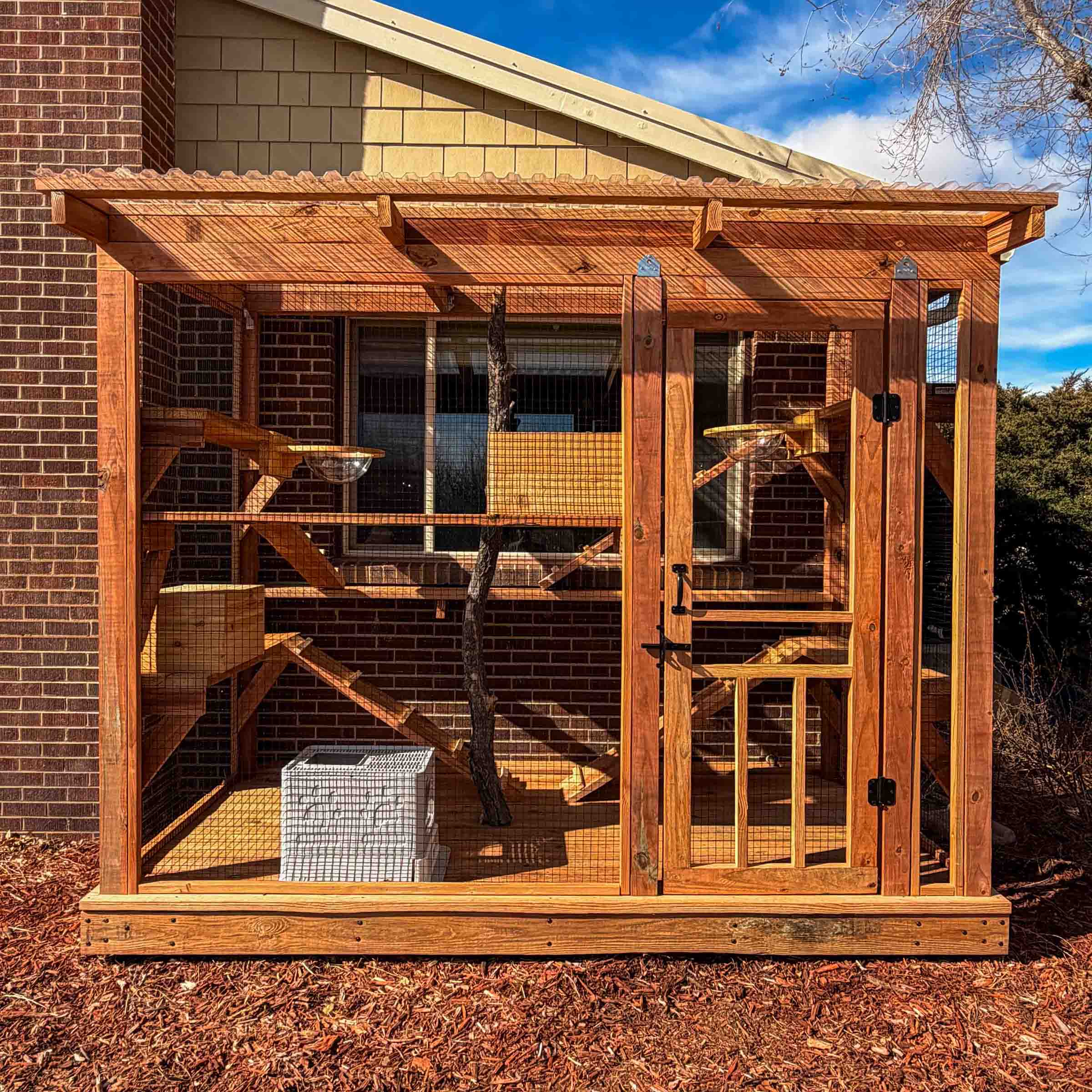 Wellington, CO Pressure Treated Catio