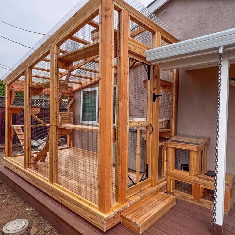 Angled exterior view of a wooden catio attached to a house with entry steps, mesh door, and connected cat tunnel enclosure.