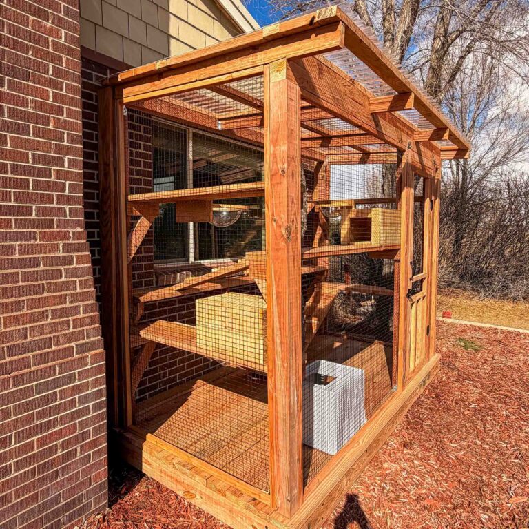 Custom wooden catio attached to a brick house featuring multiple elevated platforms, ramps, and a transparent roof panel, enclosed with wire mesh and positioned over a mulched backyard area.