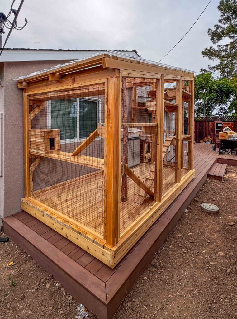 Back view of a large enclosed catio with wooden frame, mesh panels, sloped roof, and multi-level interior shelves and ramps mounted against the home exterior.