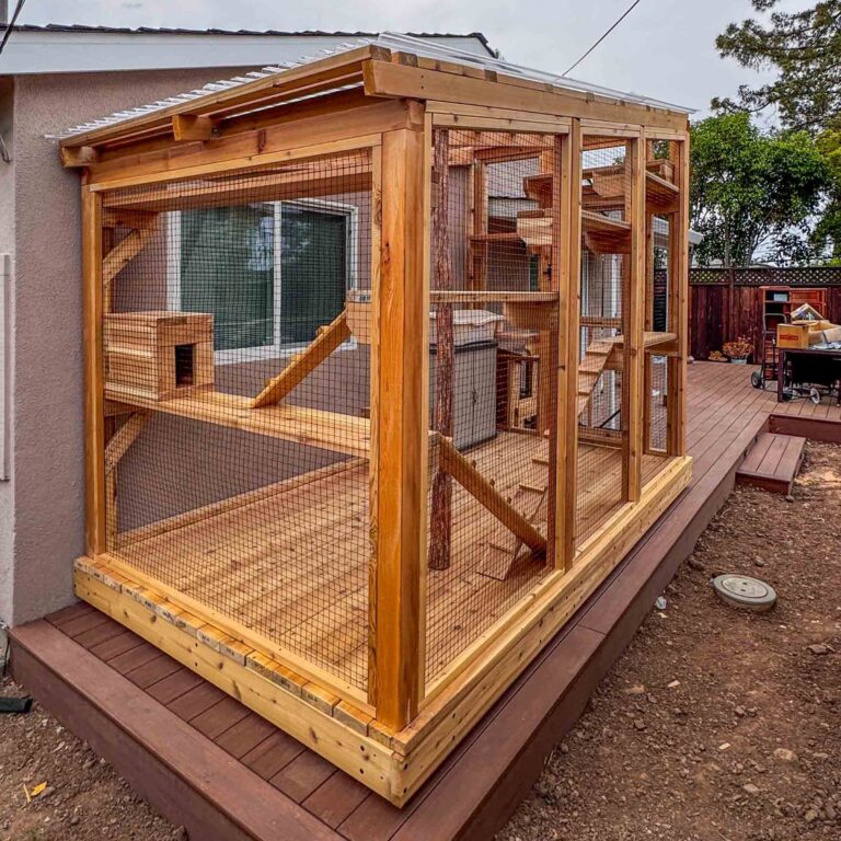 Exterior view of a custom-built wooden catio with mesh walls, slanted roof, and multi-level interior platforms attached to a backyard deck.