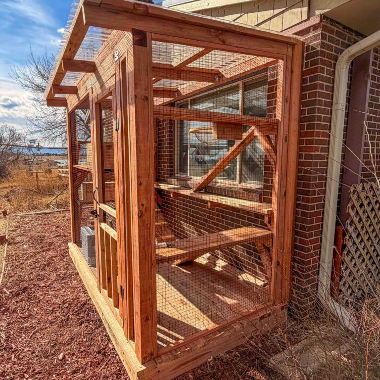 Side angle of a wooden catio showing mesh enclosure, interior ramps, shelves, and connection to a house window for cat access.