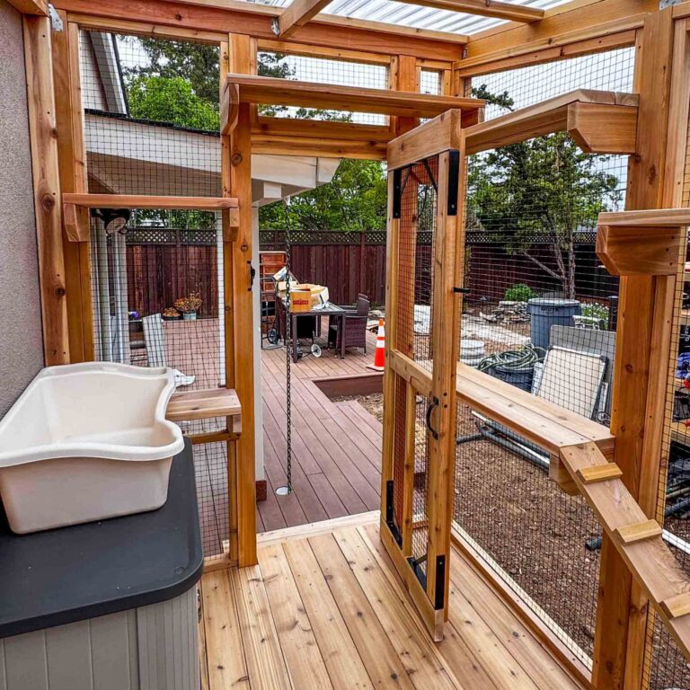 Interior catio view with open mesh door, wooden ramp, wall shelves, and a large covered litter box setup near the entrance.