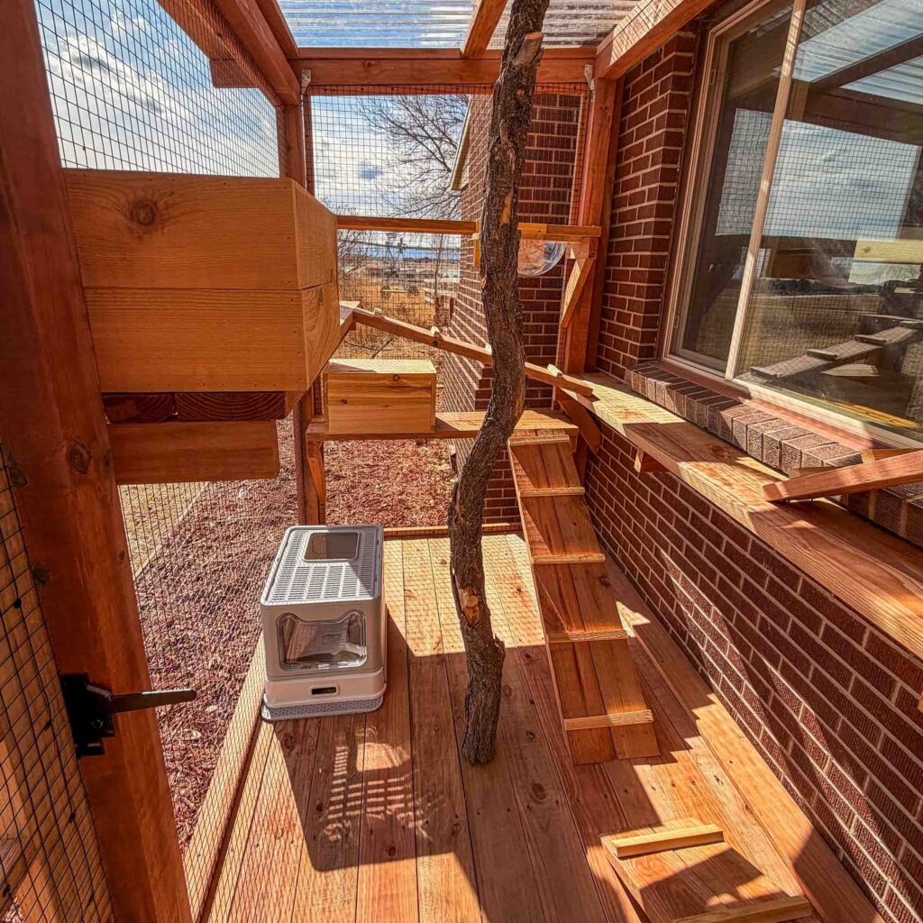 Interior view of a catio showing wooden steps, climbing shelves, a vertical tree trunk, a litter box enclosure, and window access to the house.